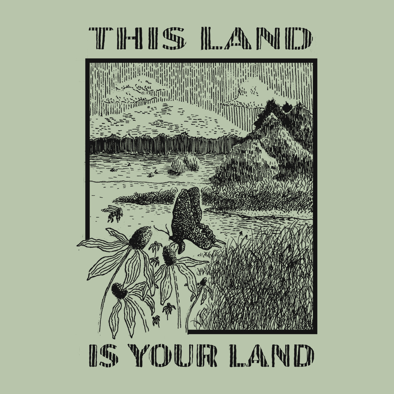 This Land