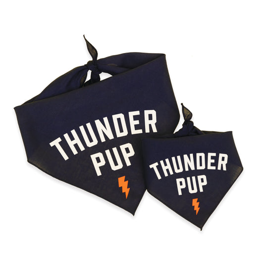 Thunder Pup Dog Bandana